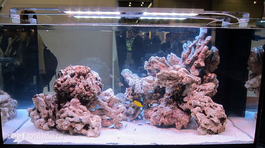 reefbuilders.com