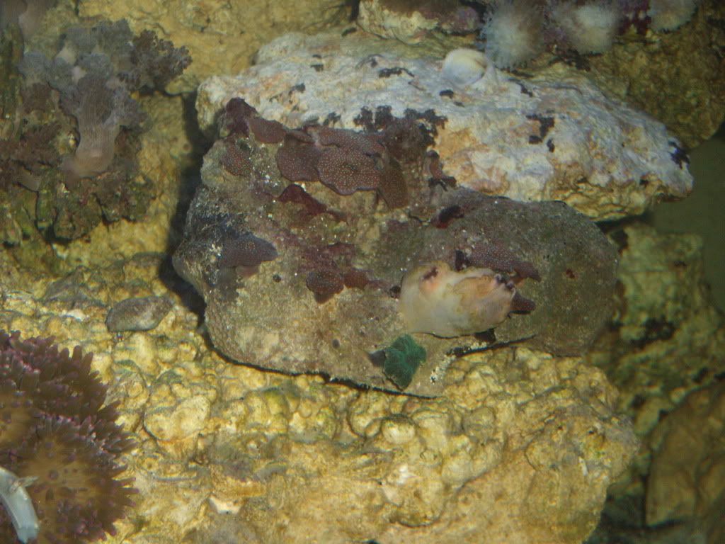 GEDC0169.jpg