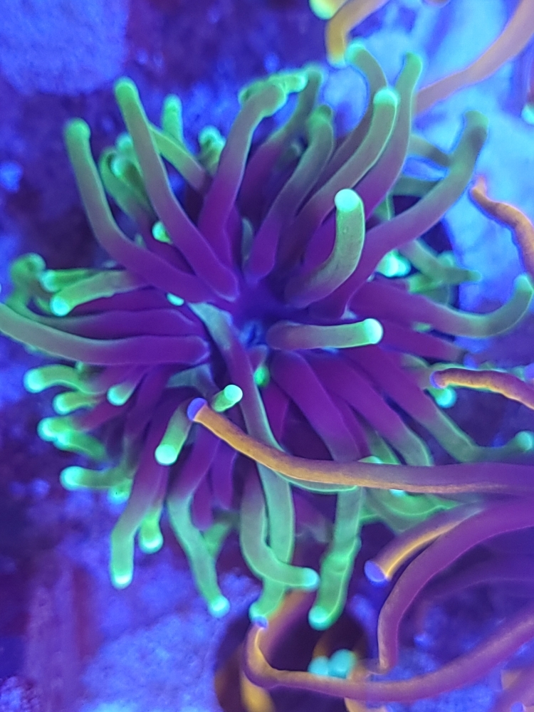 d736c708838b24ba4b4a7f887baef6f8.jpg