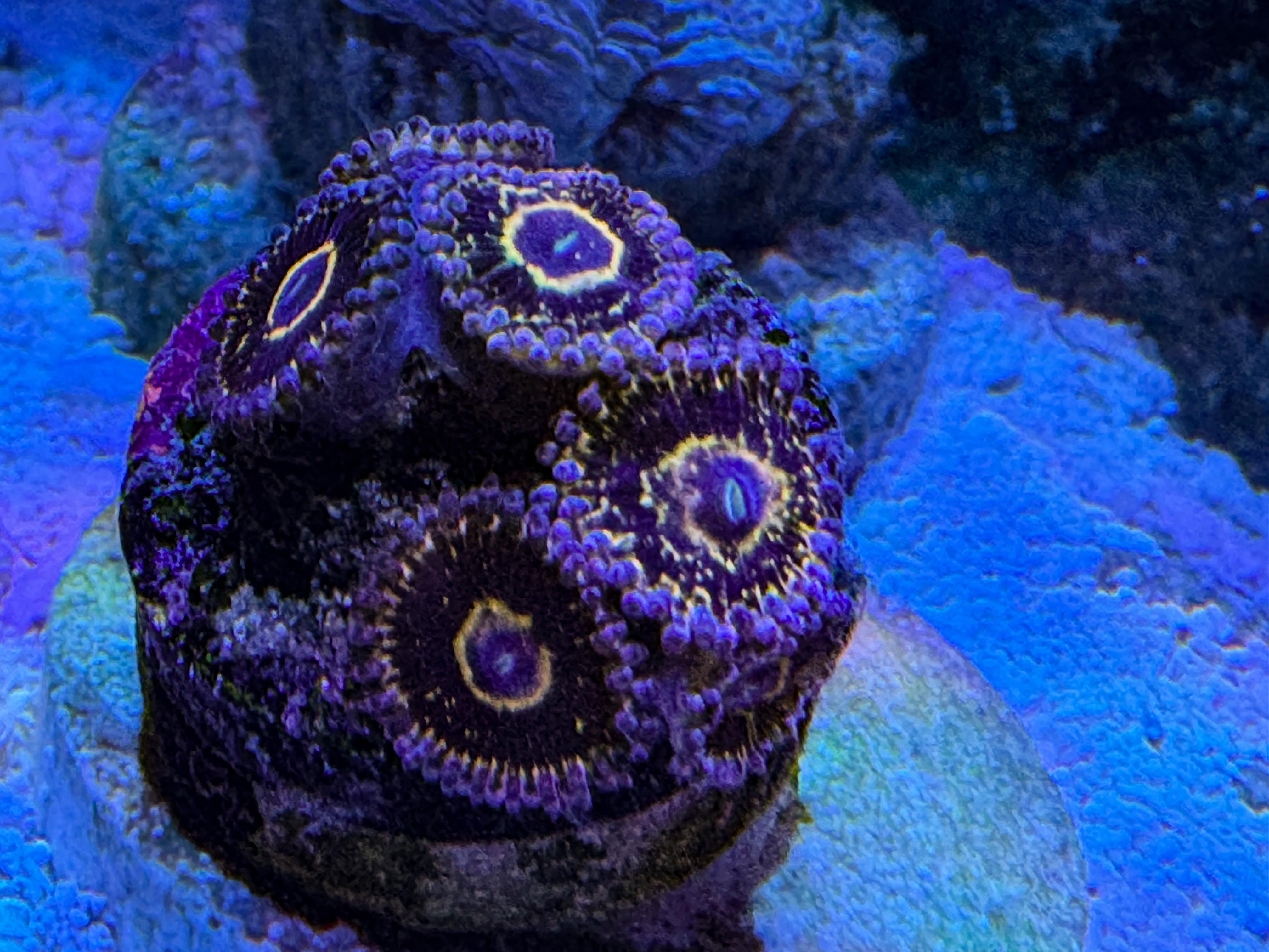 2df1335540abdca86b93191ffb99d7f6.jpeg