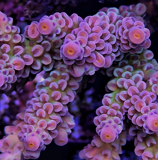 62257384d2a34c4e0dffc4bbd0c1fb8d.jpg