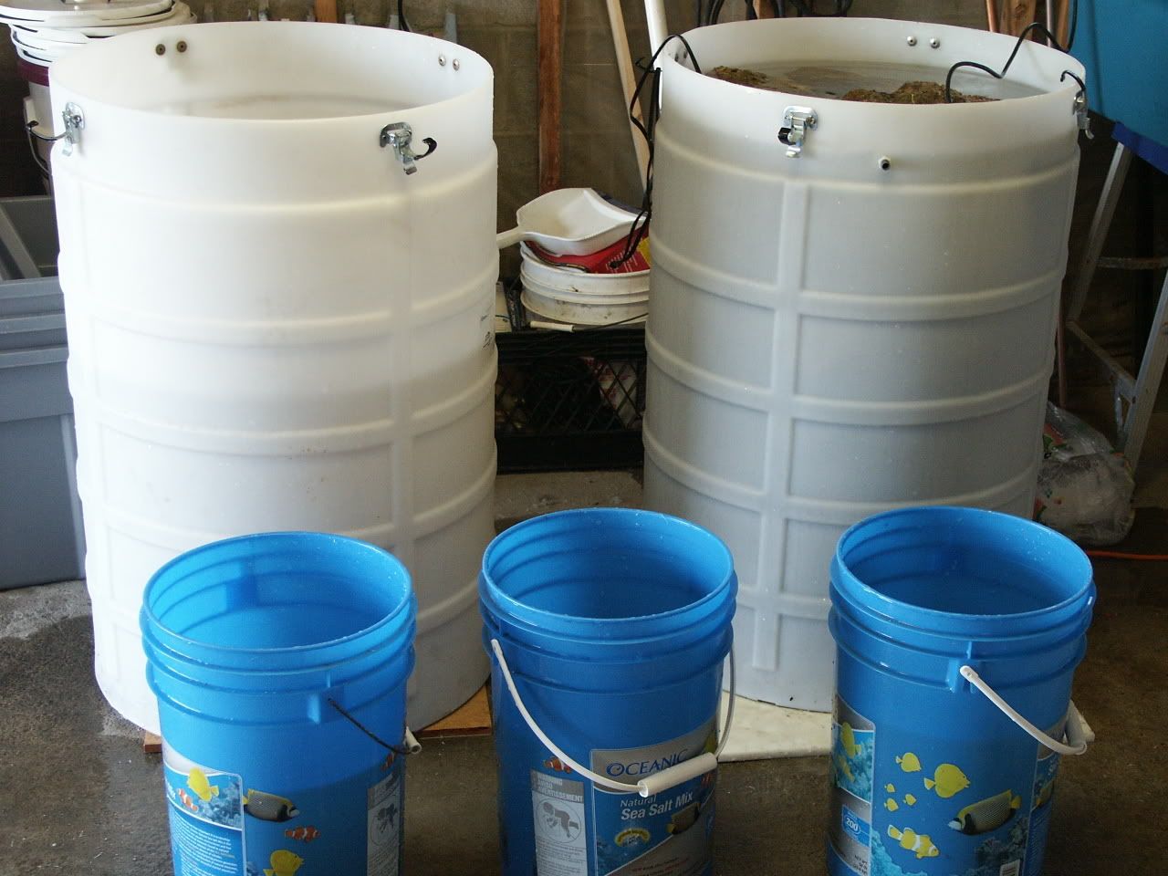 PICT0166.jpg