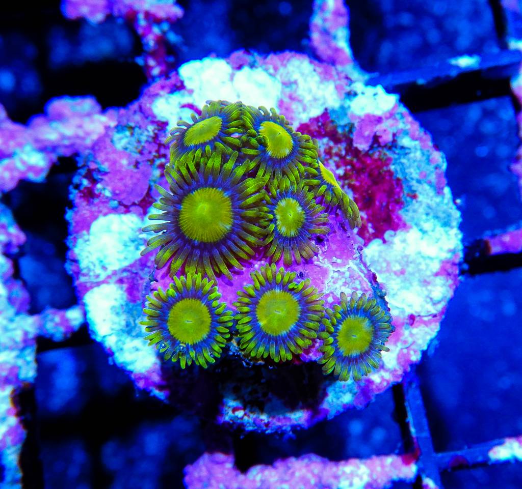 d6ca06bb277fc85e1e972c0fc31cb935.jpg