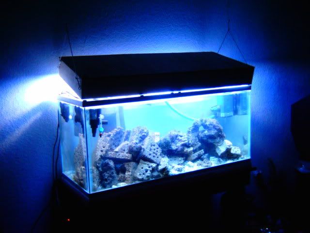 IMAG0027p.jpg