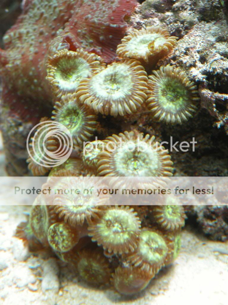 DSCN4205.jpg