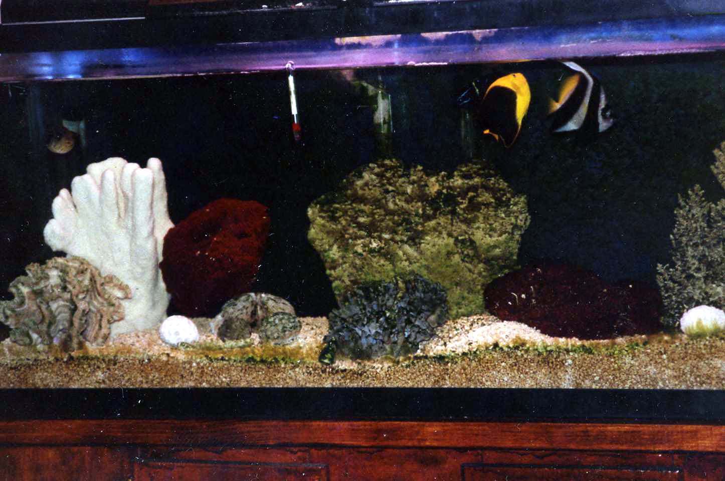 tank88.jpg