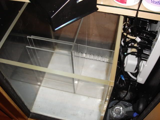 DSC00836.jpg