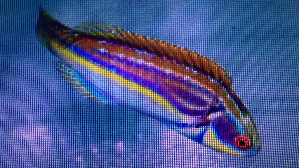 3457d0444e1116973c67586e45b7c306.png