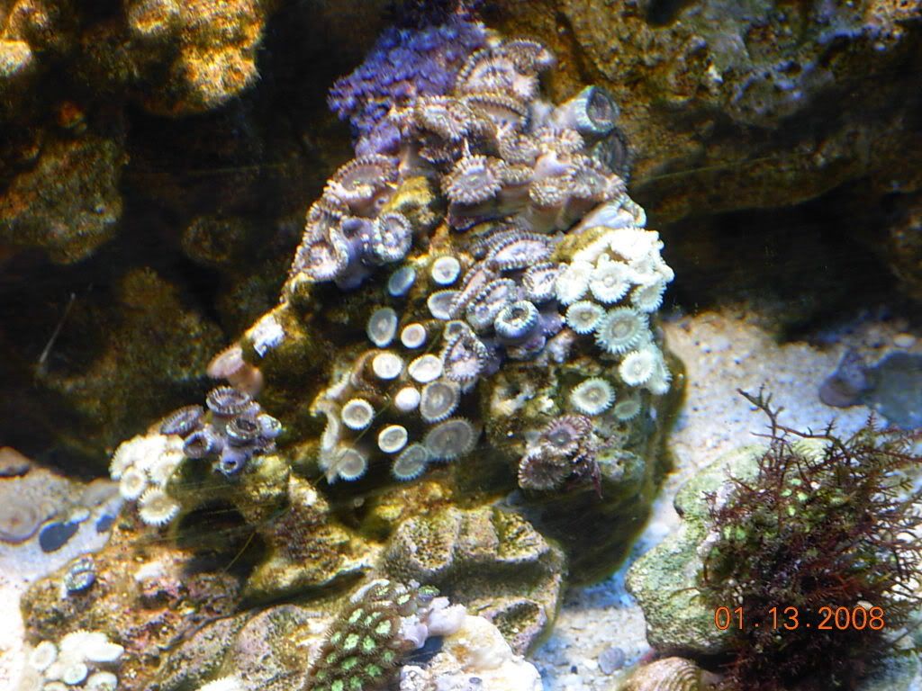 DSCN1402.jpg