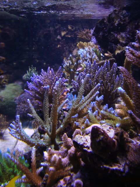 DSC01243.jpg