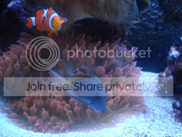 DSC04737.jpg