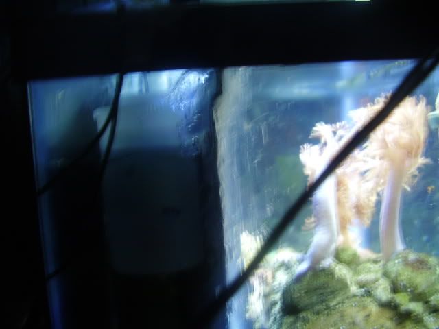 P8110283.jpg