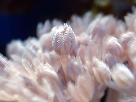 xenia07171.jpg