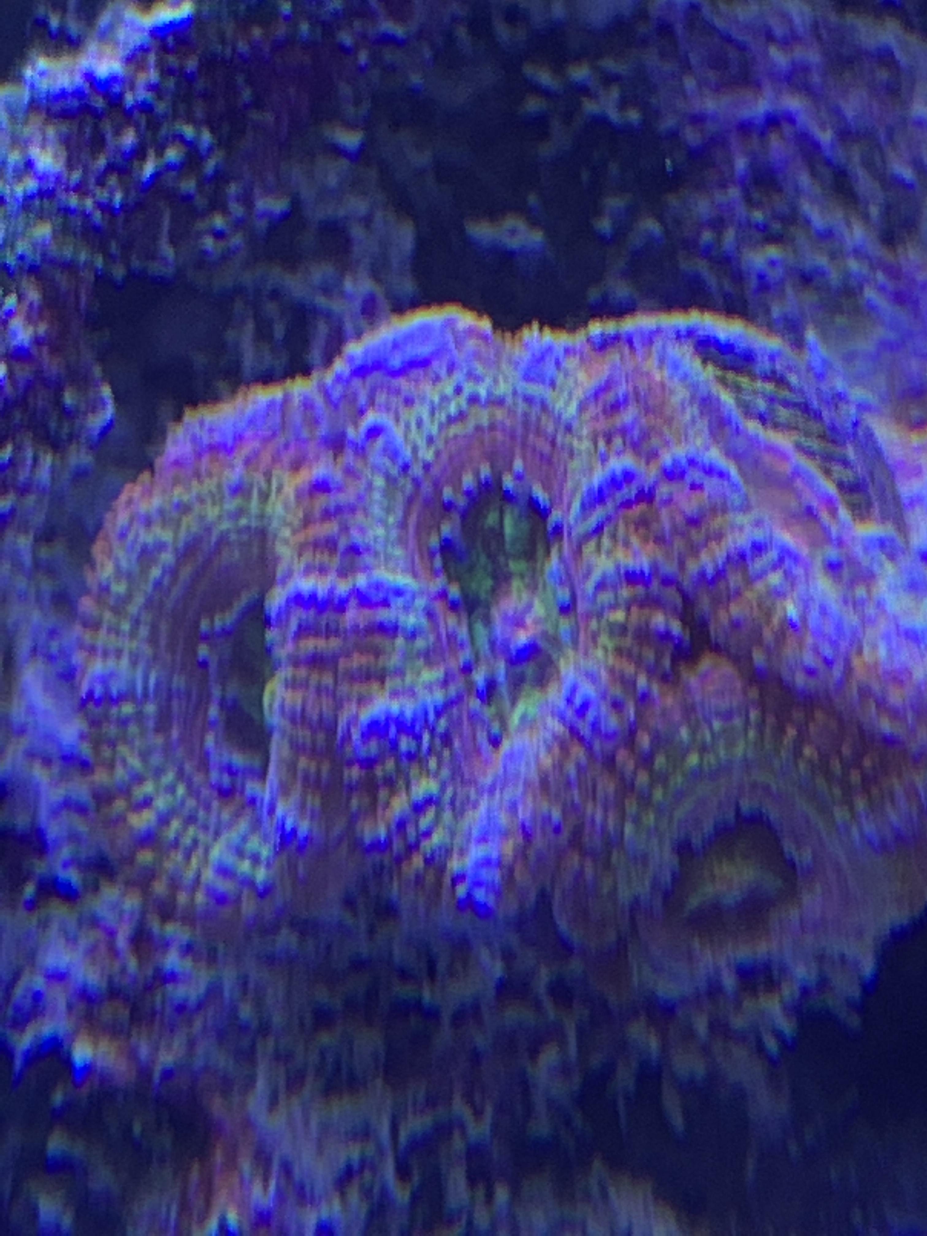 41462e5ffc505f977b5ece3565151d63.jpg
