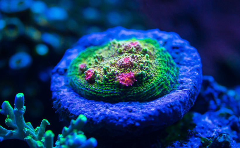 TO79AZk.jpg
