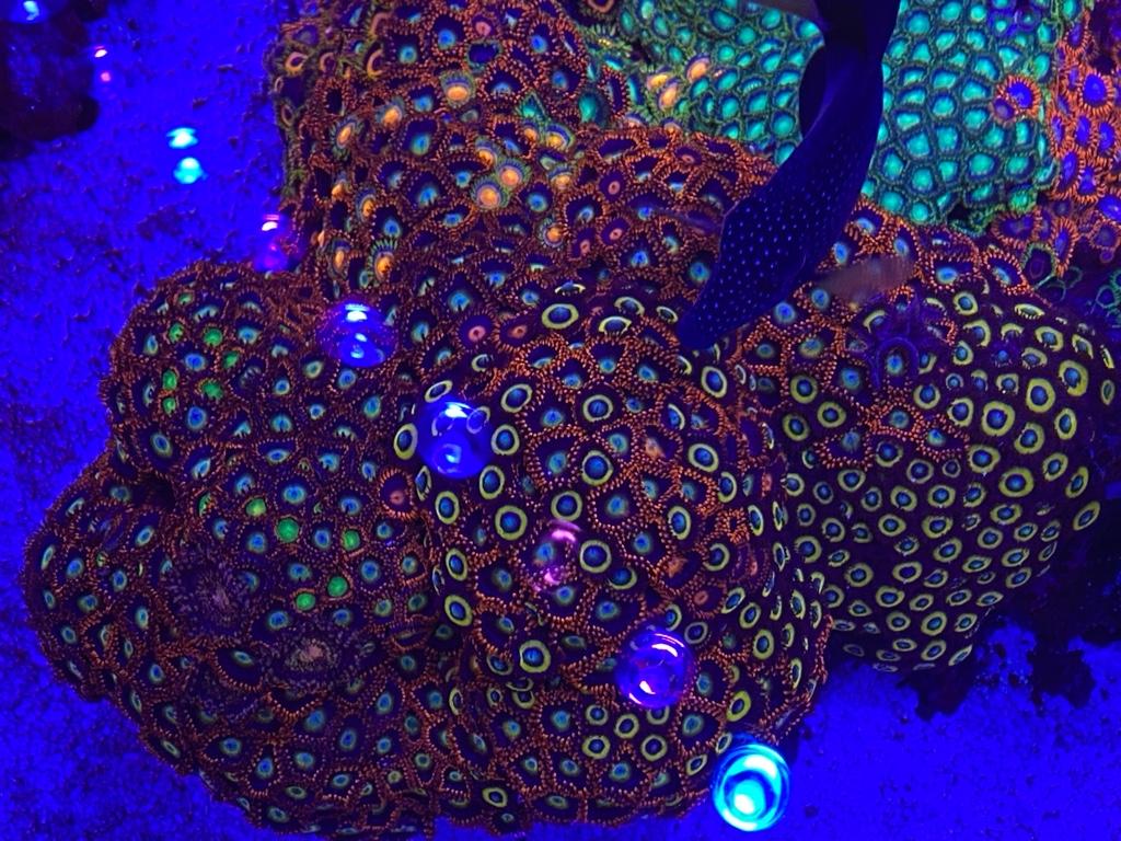 8e62acd4371d9d224e250d6add63d933.jpg