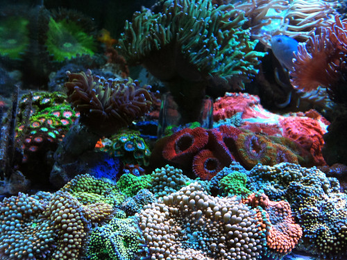 4226214285_6c5a68e222.jpg