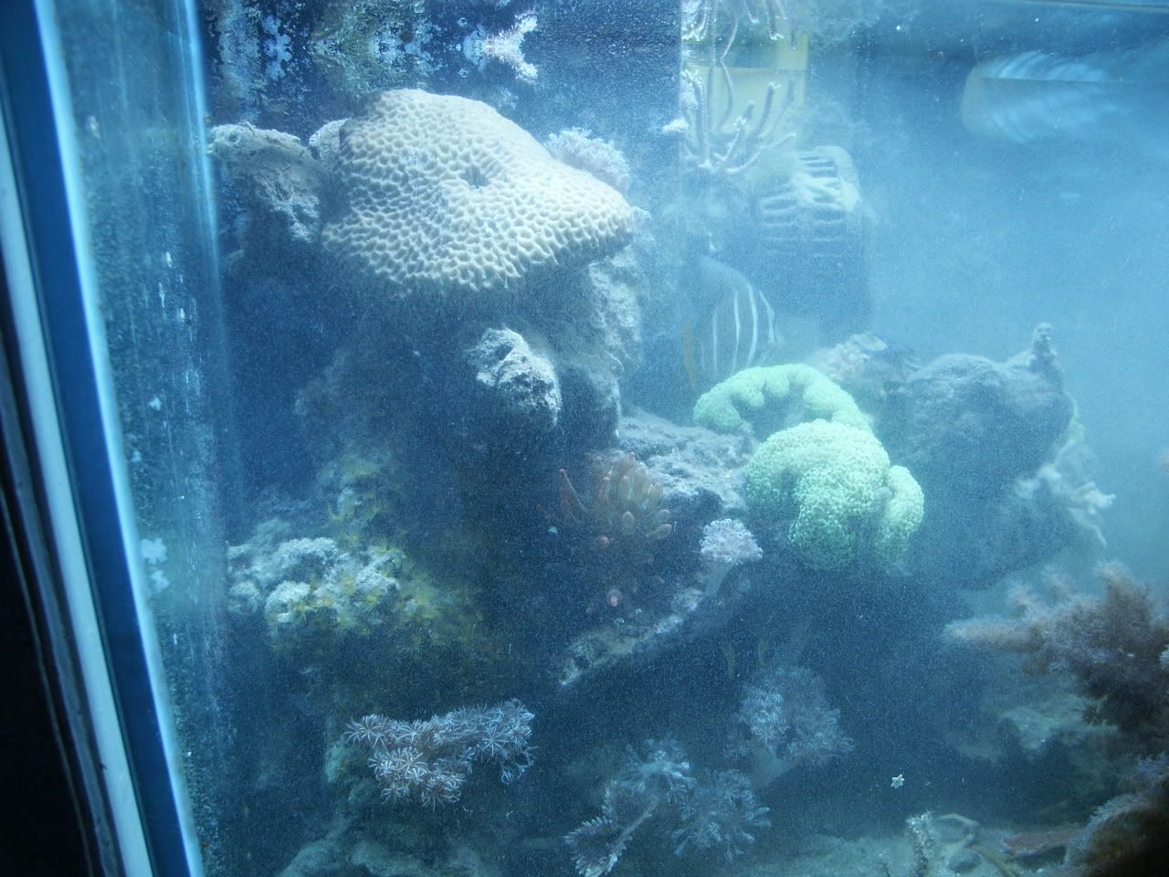 PICT0047.jpg