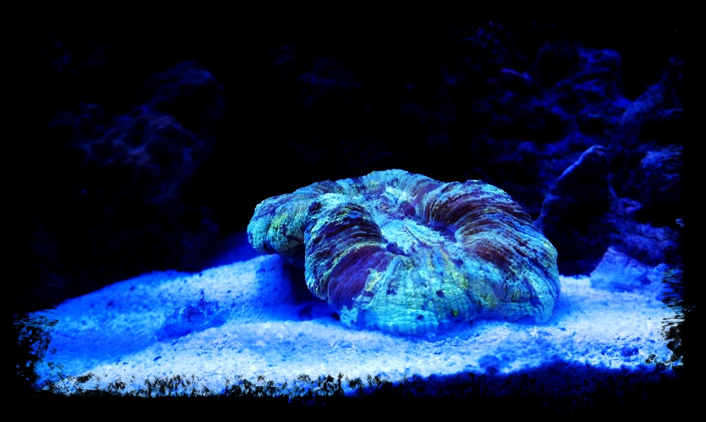 9c57964e.png