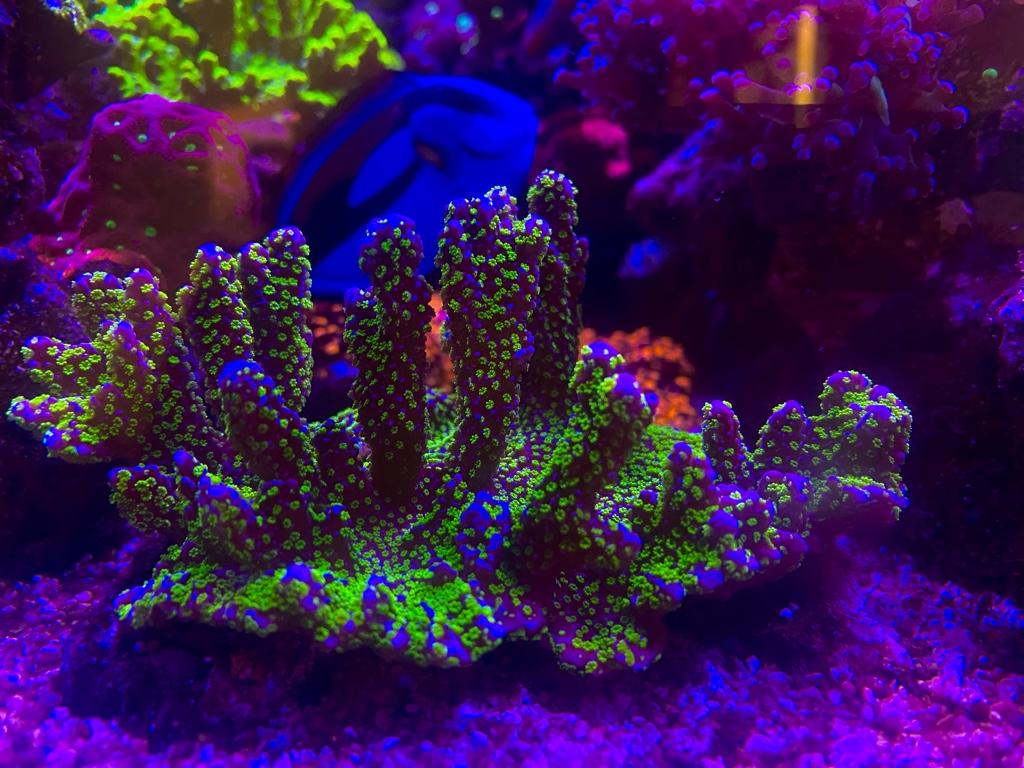 4f3dfa0d4e57a5ec7bcc3d650558326e.jpg