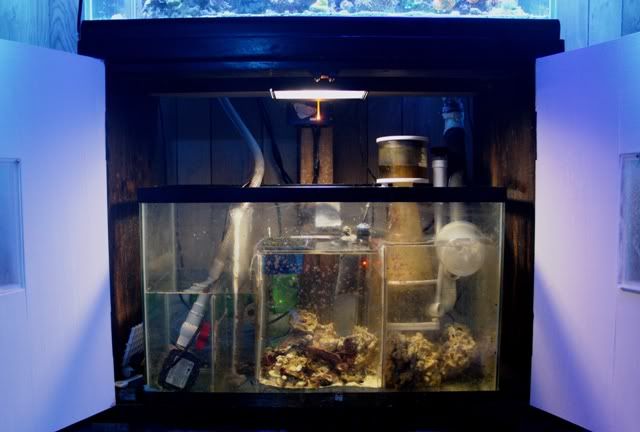 ToTMMarch2011sump.jpg