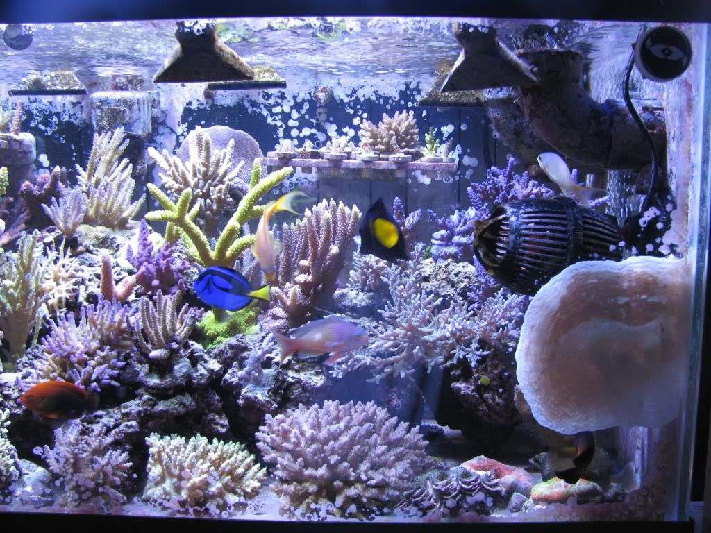 IMG_0858.jpg