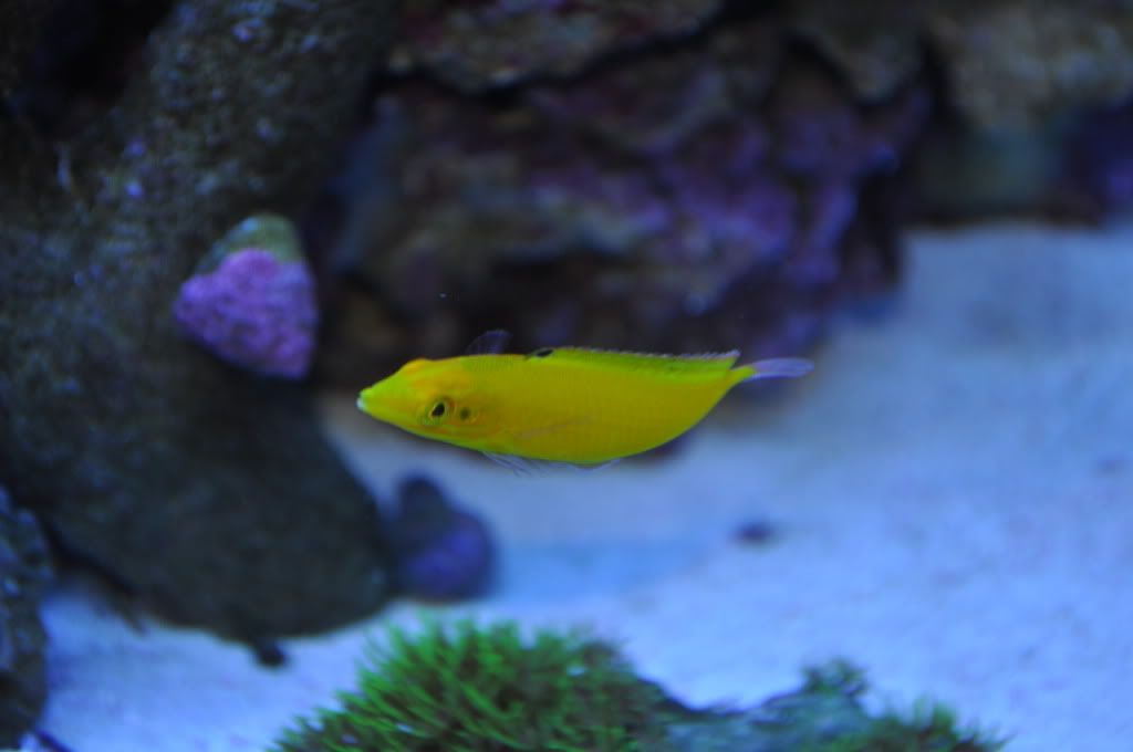 DSC_0255.jpg
