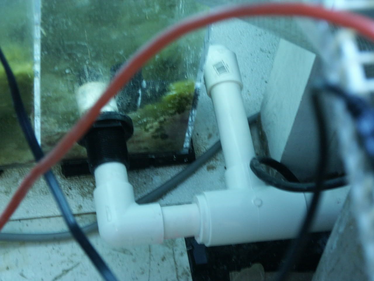 PICT0165.jpg