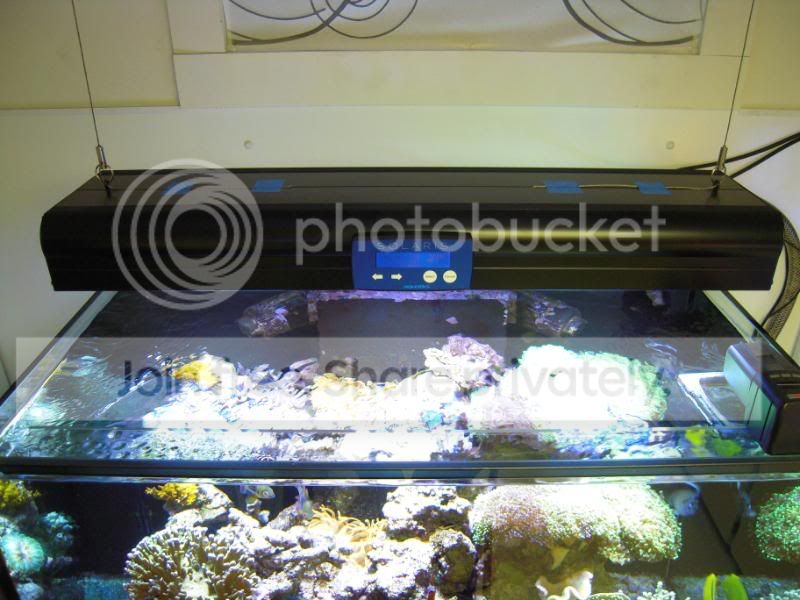 DSCN0680.jpg