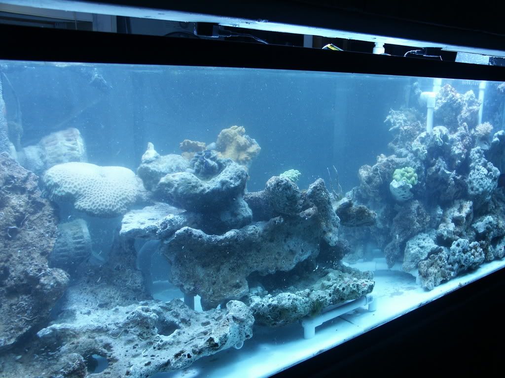 PICT0248.jpg