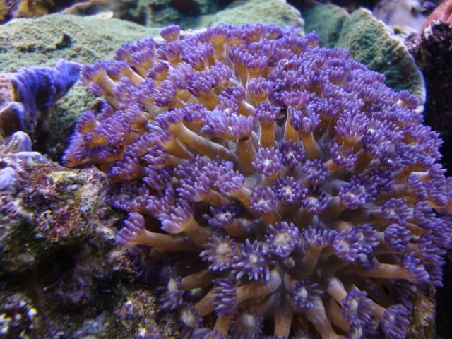 DSC01303.jpg