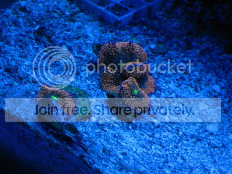 IMG_09291.jpg