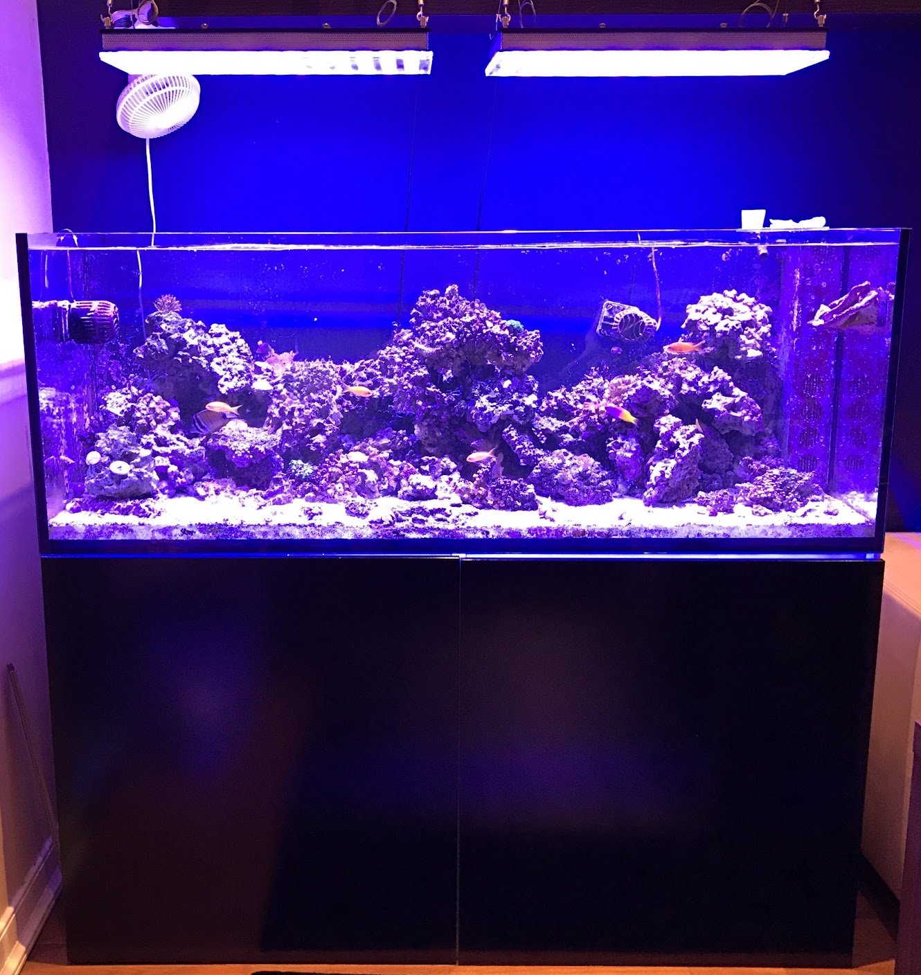 160 shop gallon aquarium