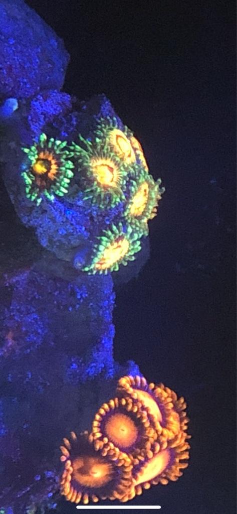 09ce041dab0d93b9a3d6ec4761e1f43a.jpg