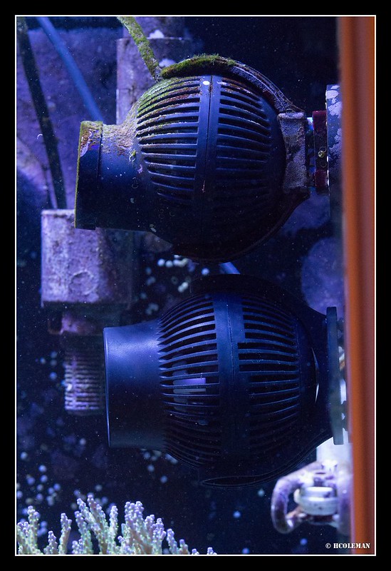 8566363538_4054e0a21e_c.jpg