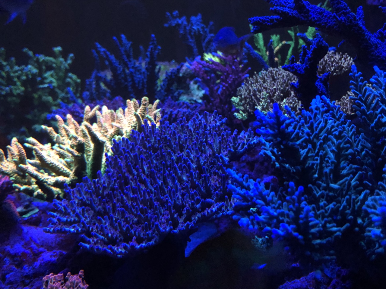 063adf2d47e0e592d2d733bce0f0e2a1.jpg