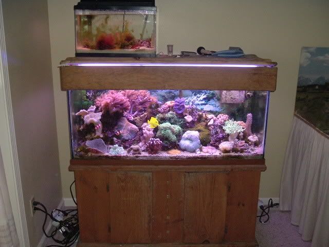 FTS-3-5-06.jpg