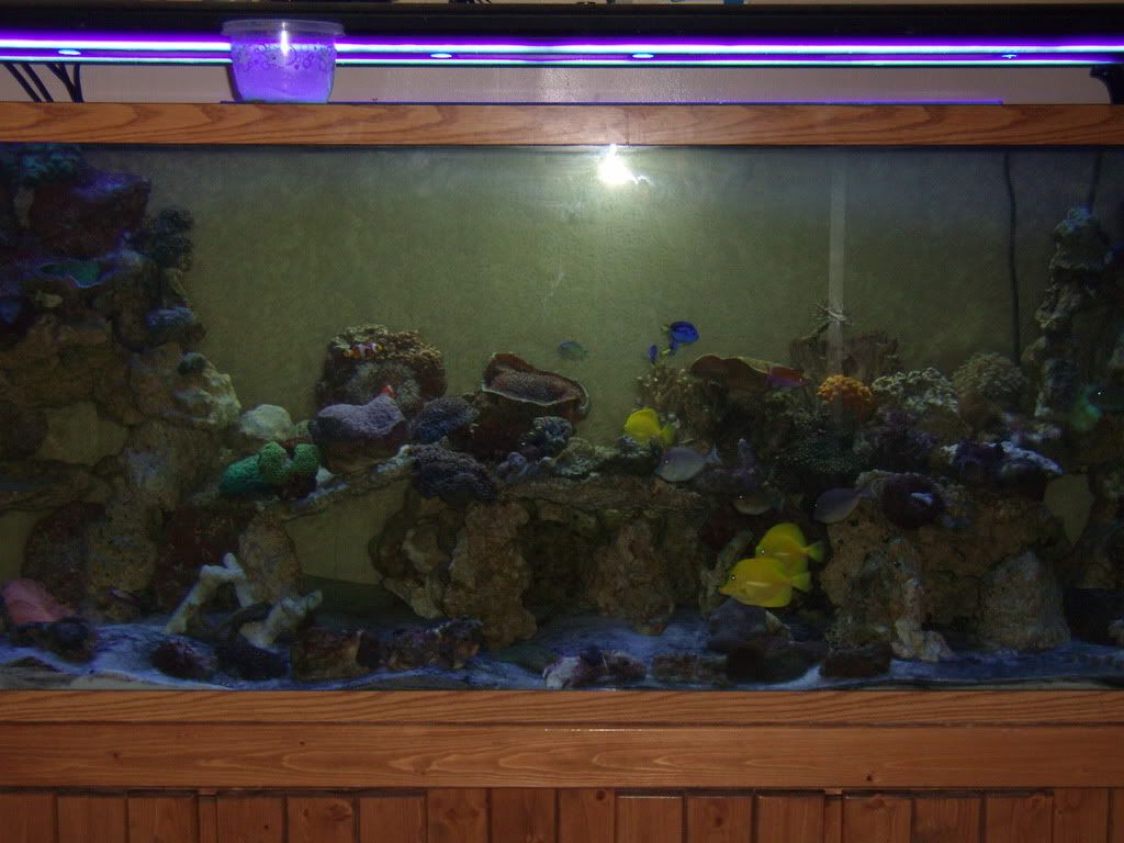 GEDC0185.jpg