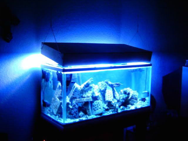 IMAG0004p.jpg