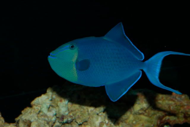 DSC_0083.jpg