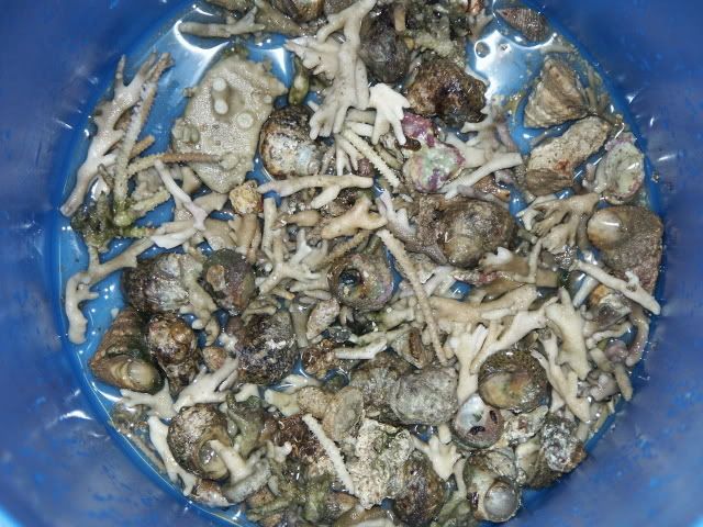 PICT0148.jpg