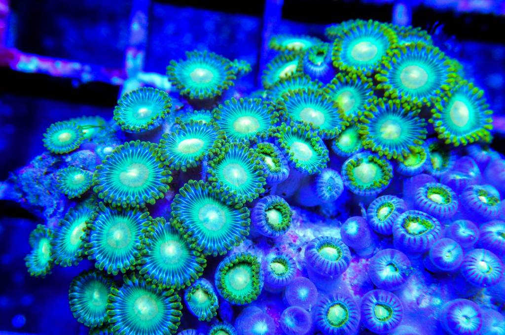 ddfcd1608b6eeb52f0eb133954a13262.jpg