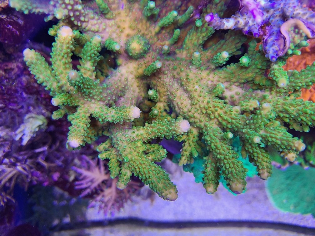 dfbeb450e2967a1141c478a5038176d8.jpg