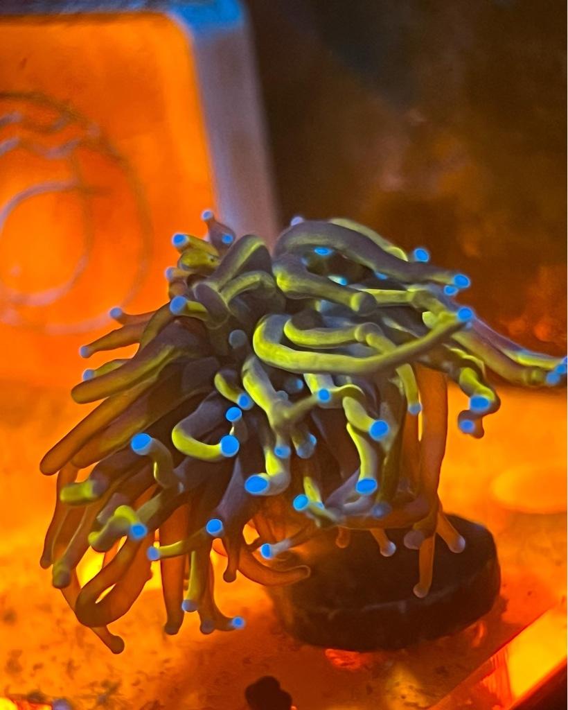 8b3f802a937d8752da75c737bb597373.jpg