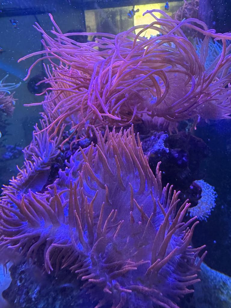 7246154eea4d525e54d0457170f6e8db.jpg