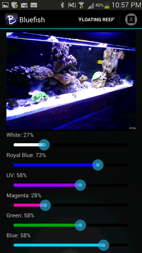 diy-aquarium-led.gif