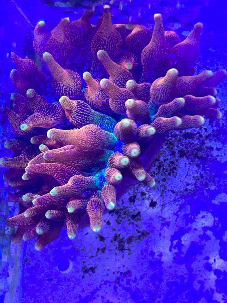 3b36c72213db019c3772a3e76fff5f9f.jpg
