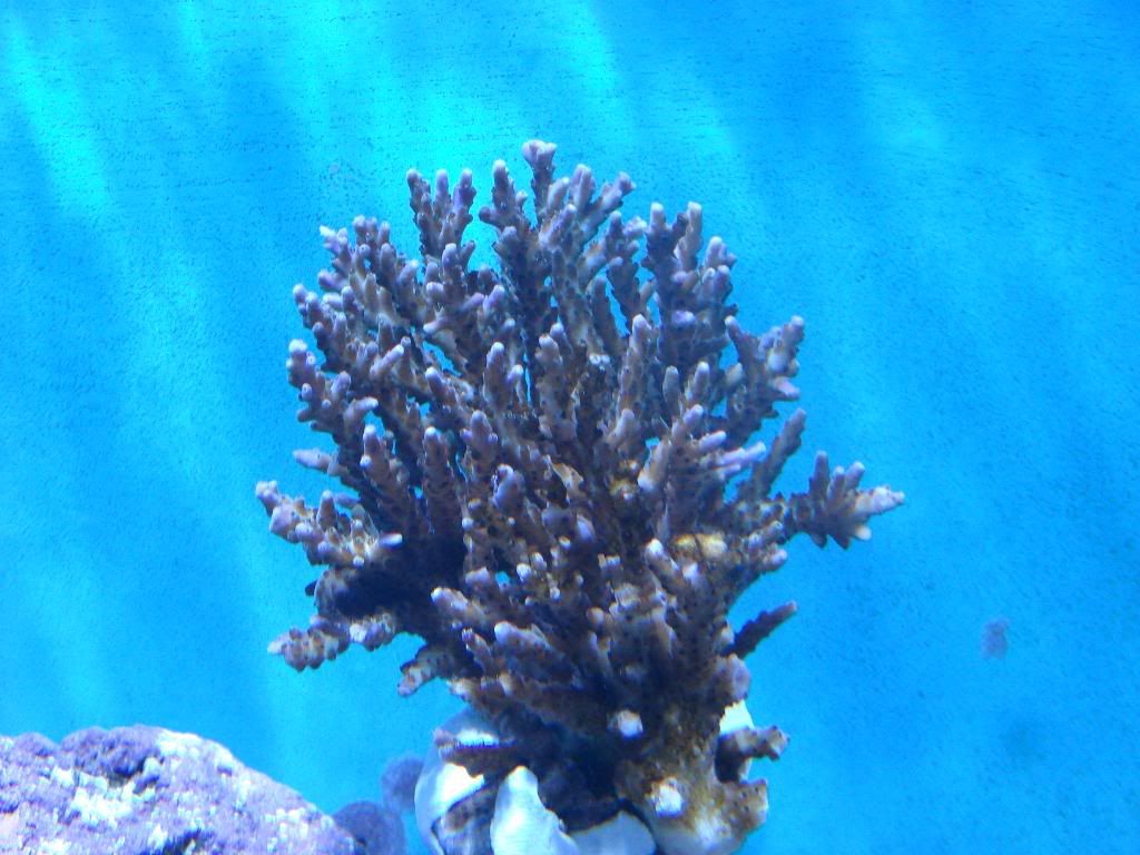 DSC06182.jpg