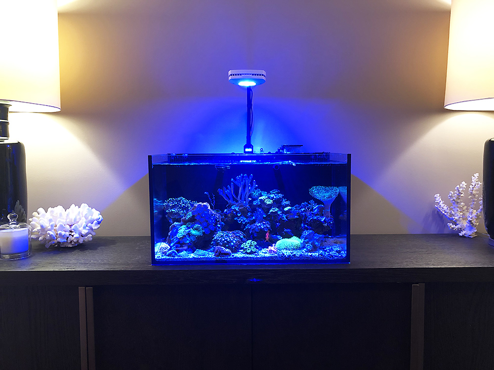 20-gallon-nuvo.jpg