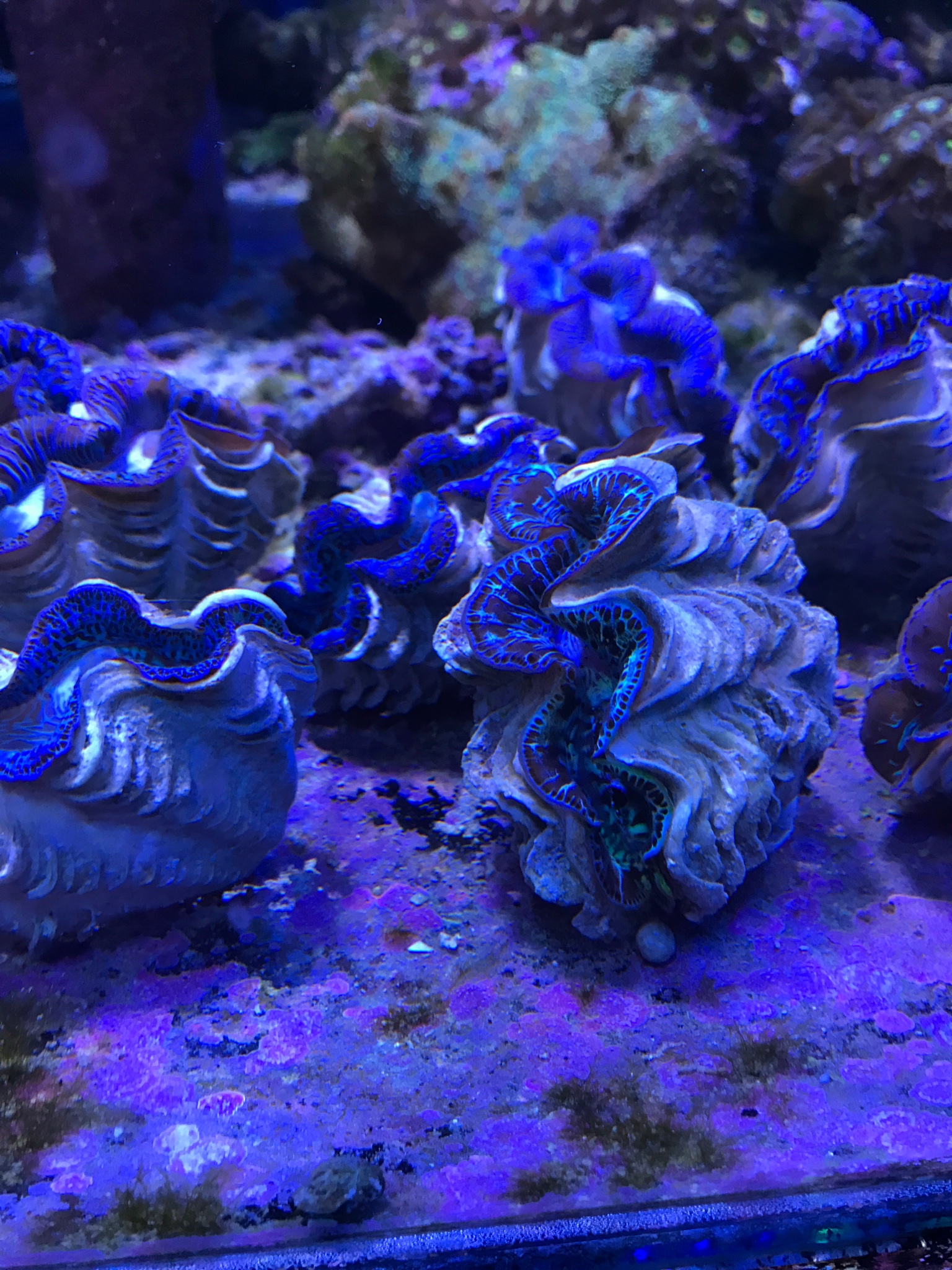 c325e49820a42c9f6af79f27fd9f0bc8.jpg